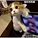 v2-c3357139579a07b103dd2b5570958ecb_720w.webp (427×370)