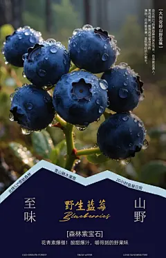 不一样的山珍海报|大兴安岭山野至味 - 小红书