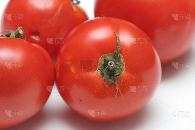 Garden tomatos