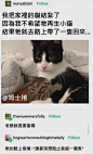 旺达