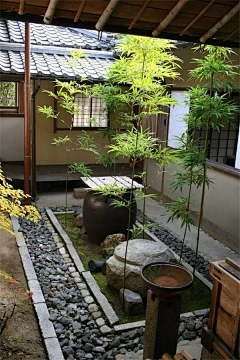 江明菊采集到庭院