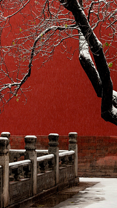 微雨湿落花采集到遗失心的地方