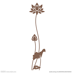 云淡风轻fanyun采集到荷花