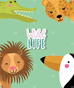 可爱的,野生动物,动物,猴子,分离着色,宠物,自然,热带雨林,图像,收集