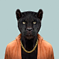Black Panther - Panthera Pardus