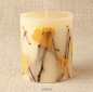 蜡烛与动植物标本的融合