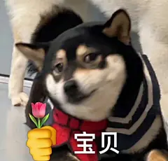 来保存有趣的表情包 ꕥ ​​​​