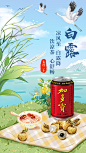 加多宝二十四节气-白露手绘海报
