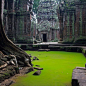 Ta prohm Temple. Angkor, Cambodia: