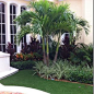 Photo of a tropical landscaping in Miami.