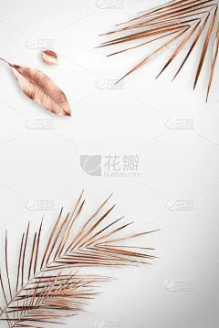 黄金,叶子,复叶,贺卡,周年纪念卡,彩色背景,情人节卡,棕榈叶,背景,生日卡