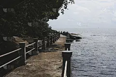 风景如画的桥在海边被热带植物包围，夏季背景
