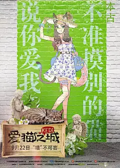爱猫之城 Kedi 海报