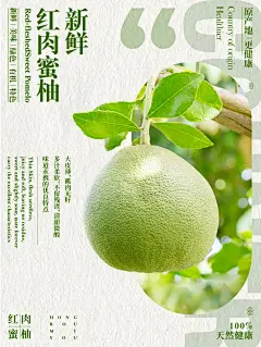客户给了个柚子，要求海报一定要展示原生态 - 小红书