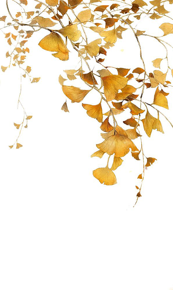 792d9c2268a8492d8236...