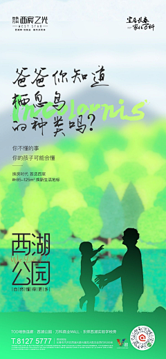 掉进染缸的小鱼采集到海报——小清新