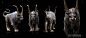 Chimaera Mount turn around