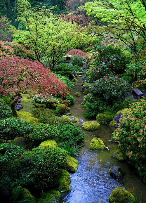 Japanese garden: 