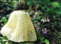 竹荪 #蘑菇#
好像婚纱~
