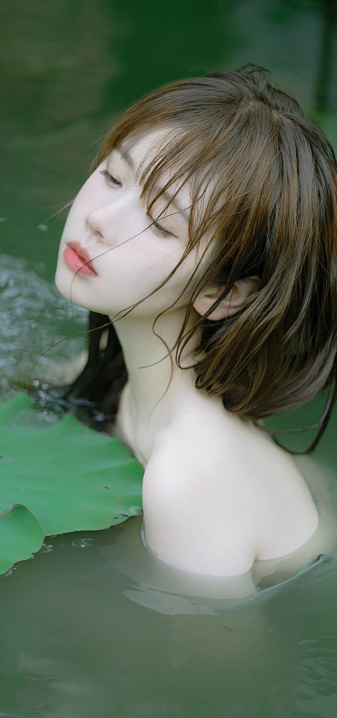 出水芙蓉