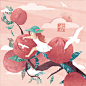 一组水果包装插画，枣桃子甜瓜石榴 (4)