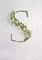 s is for spring.  #spring