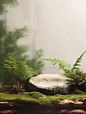  midjourney 生成背景AI摄影 森系场景_8_做设计的豆豆_来自小红书网页版