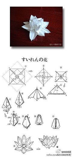 charlenenice采集到中国莲纹饰