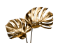 shutterstock_1721324560-2