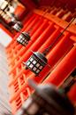 yokosojapan:

Itsukushima Shrine lanterns&#;160: Miyajima, Hiroshima, Japan / Japón by Lost in Japan, by Miguel Michán on Flickr.Itsukushima Shrine lanterns&#;160: Miyajima, Hiroshima, Japan / Japón