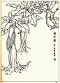 花卉线描参考资料