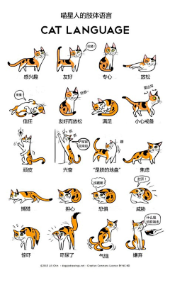 杨小冬采集到猫依赖.晚期
