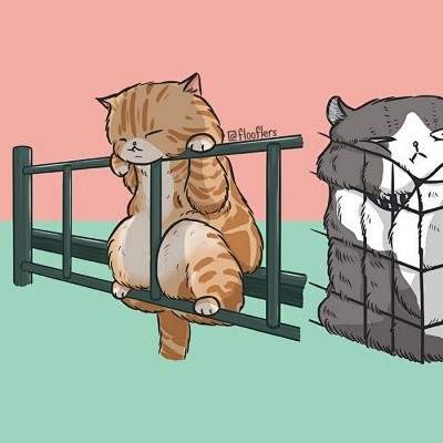 沐糖喵星人沙雕日常呆萌可爱卡通动漫头像我要个性网