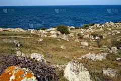 海边的景色，夏天有大片的石头，绿色的草。