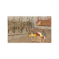 维亚尔 爱德华Edouard Vuillard （1868－1940) .维亚尔是法国纳比派代表画家。那比派描绘现实的方法，不依中心透视法，而是依纳纯粹主观与装饰性的观念所带出的形式。法国纳比派（先知派）代表画家之一