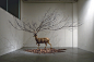 All sizes | Untitled 300 X 300 X 300 (inch) Deer Taxidermy, Branch, Leaves. | Flickr - Photo Sharing! — Designspiration