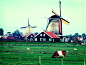 荷兰  风车