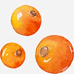 手绘装饰橘子插画矢量图免抠素材_新图网 https://ixintu.com 手绘 插画 橘子 水果 矢量橘子 装饰图案 矢量图