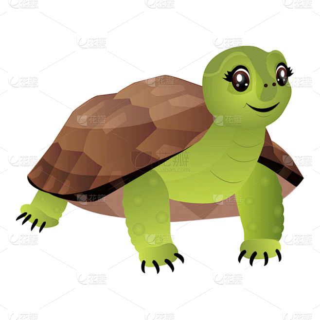 可爱的,龟,绘画插图,卡通,矢量,白色背景,扁平化设计,分离着色,生物学,动物主题