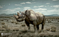 #WWF创益海报#
- Rhino horn is made of exactly the same stuff as human toenails, still want some? 犀牛角和人类手(脚)指甲的材质是一样的，你还想要一些吗？
来源:@WWF世界自然基金会-微博