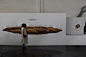 brand identity Signage system typography   Illustrative graphic design  graphic system poster editorial design  Packaging