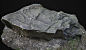 Photogrammetry Rock,...