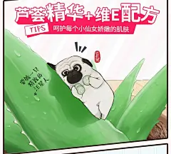 维达吾皇女性便携湿厕纸7片8包湿巾迷你小包女士专用私处湿纸巾-tmall.com天猫