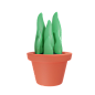 Pot 3D Illustration
