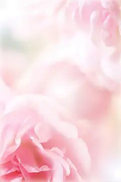This contains an image of: 
