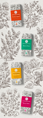 Dagomys tea : «Дагомысчай» — крупнейший в России производитель чая, с более чем 60-летней историей и собственными плантациями в Краснодарском крае. Исключительные климатические условия и рецептура с добавлением травяных сборов придают чаю уникальный вкус 