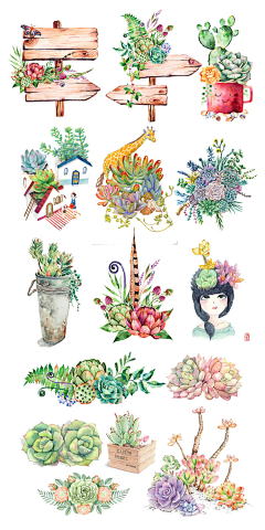 橙子味小张i采集到植物素材