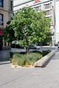 CMG landscape architecture-Mint Plaza/ like the bench