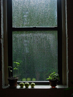 小象……采集到雨