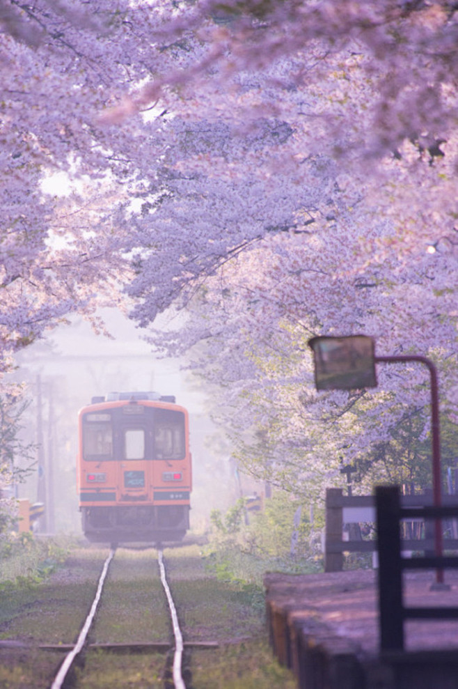 Tsugaru Railway, Aom...